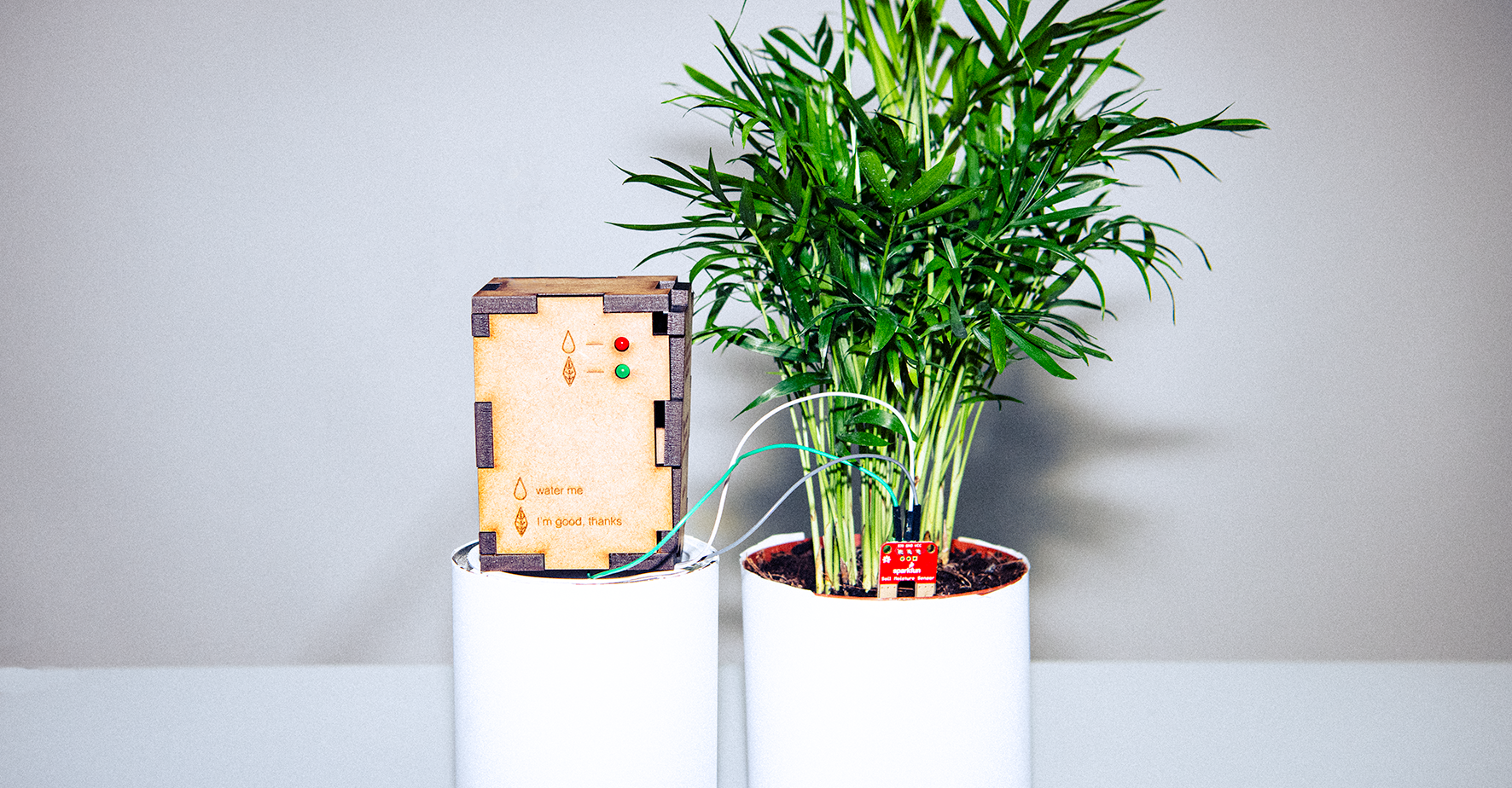 Anzeigebild Pflanzenwasser